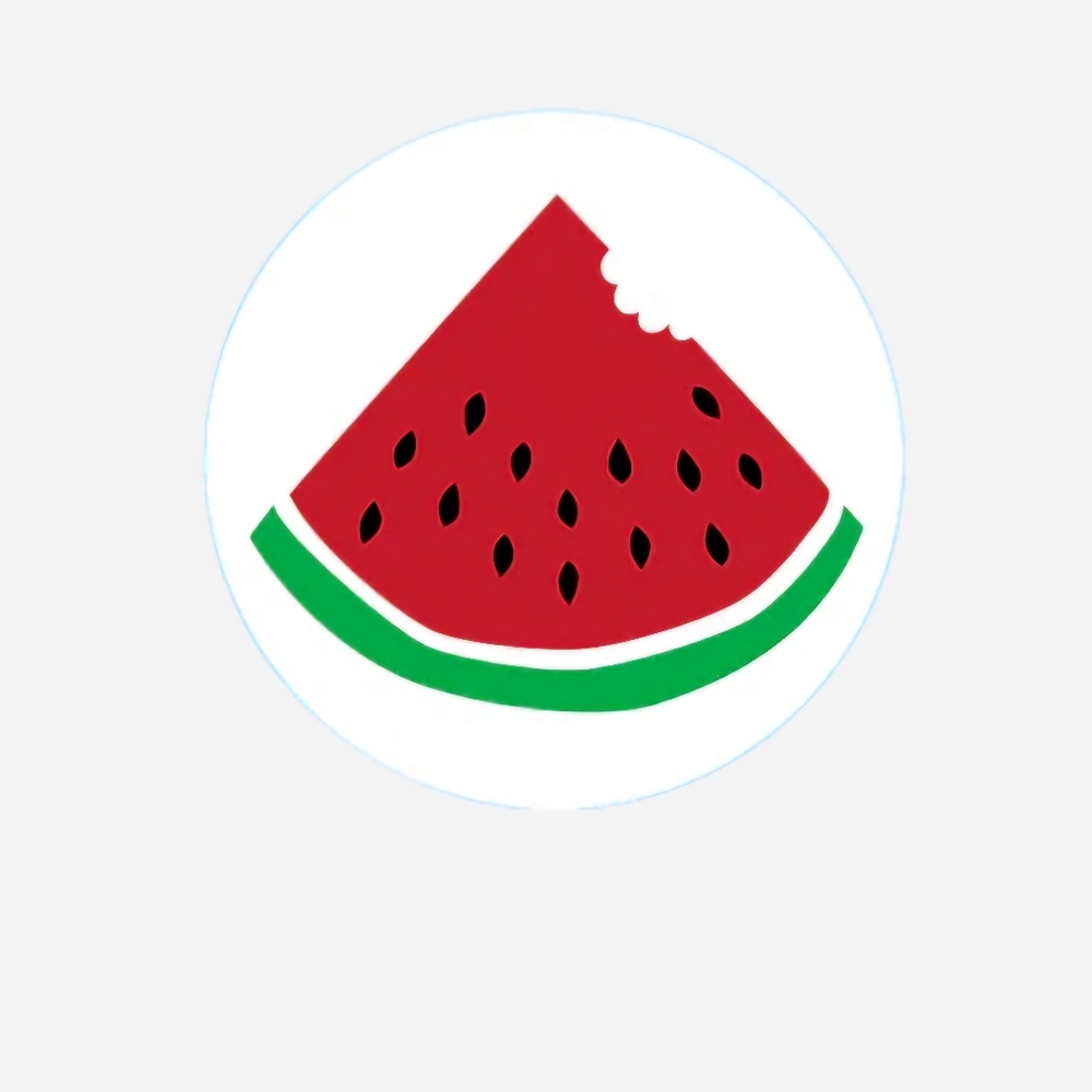 🍉 Bogg Bag Bits Watermelon 🍉